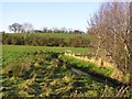 Aghadrumglasney Townland