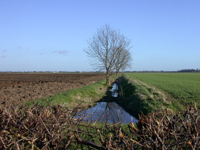 Farm ditch seen from Cow Lane