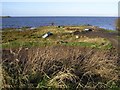 Lough Neagh, Derrymore