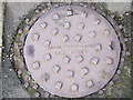 Manhole Cover, Piper