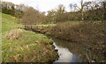 River Parrett below Broom Croft Copse