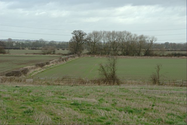 Fields North of Milton