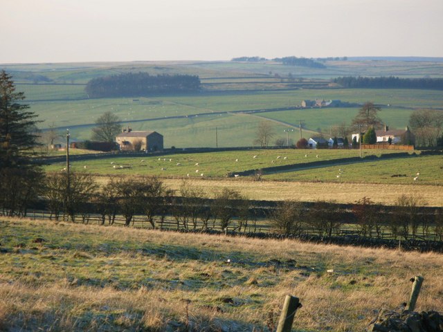 Pastures above Lonkley Head