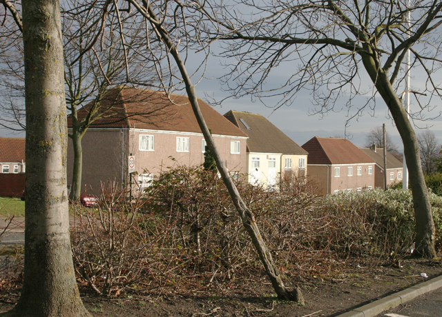 Houses in Throckley