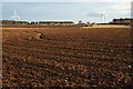 Field at Broadleys