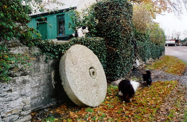 Millstone at Roestown, Co. Meath