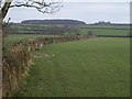 Field boundary near Nethercott