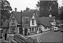 SZ5880 : Pencil Cottage and The Old Thatch Tea Room, Shanklin, Isle of Wight by Christine Matthews