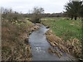 River Deer at Forda Mill