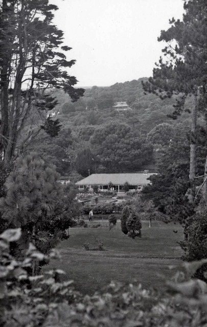 Botanic Garden, Undercliff, Ventnor, Isle of Wight