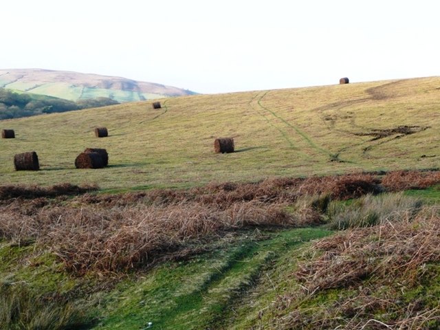 Straw bales on the moorland