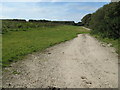 Track near Carnaquidden