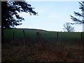 Fields behind Cochno Road