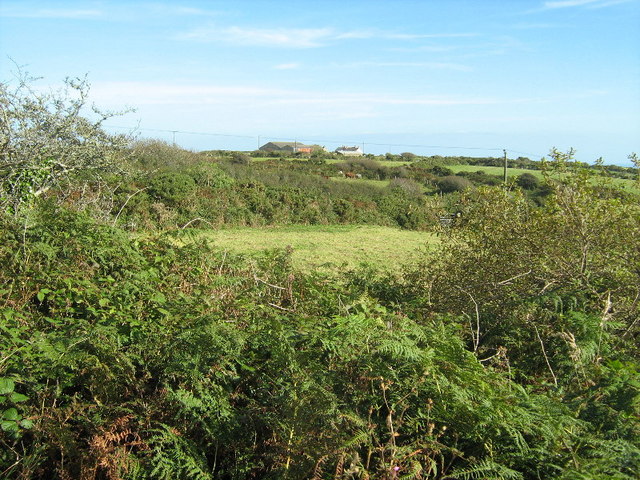 Hedges and fields near Trythall Farm
