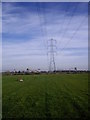 Footpath and Power lines crossing railway