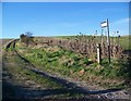 Restricted byway near Fifield Bavant