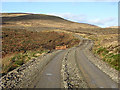 A forestry road on Ewe Rig