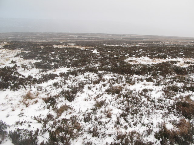 Wolfcleugh Common