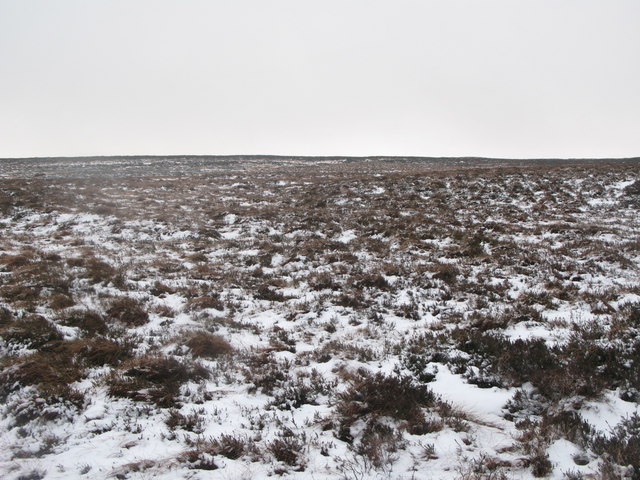 Wolfcleugh Common (4)