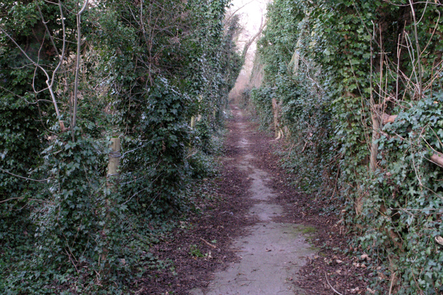 The path round Forbes Hole local nature reserve