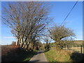 Ffordd gul ger Bronant / Narrow lane near Bronant