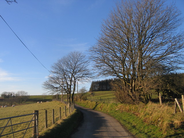 Ffordd Wledig ger Bontnewydd / Country Lane near Bontnewydd