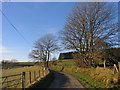 Ffordd Wledig ger Bontnewydd / Country Lane near Bontnewydd