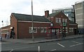 Brown Hare - Harehills Lane