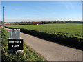 Access road to Pine Tree Farm