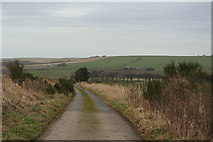  : Lane for Bruntland Farm by Des Colhoun