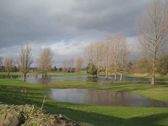 waterlogged-ground-lis-burke-geograph-britain-and-ireland