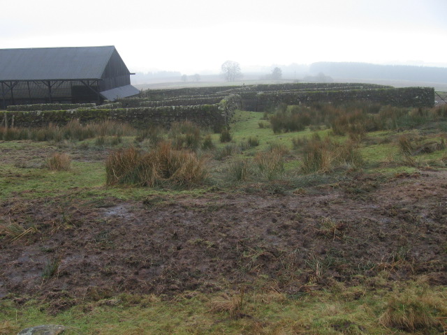 Barn and sheep enclosures near Muirhead