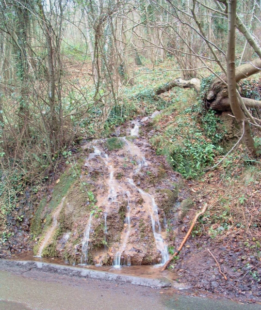 Waterfall in Westfield Wood