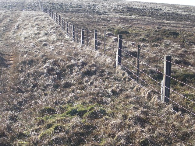 Fence, Andrewhinney Hill