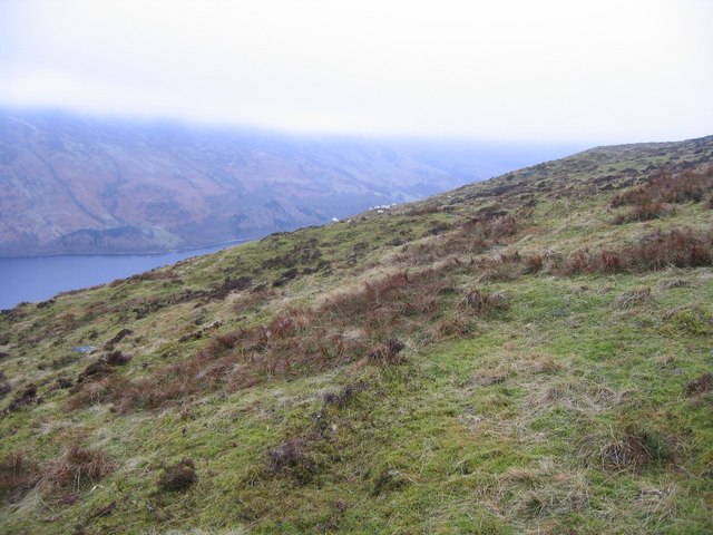 Hillside above Loch Earn