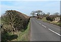 Twycross Road north of Sheepy Magna