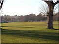 Footballing on the Downs, Bexhill-on-Sea