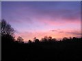 Looking towards Cedar Avenue at dawn from Widmer Fields