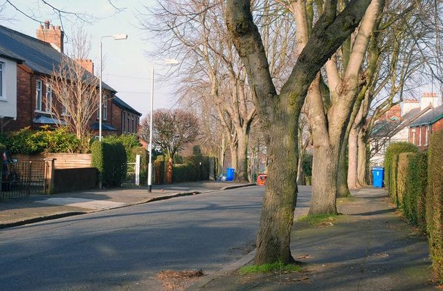 Martinez Avenue, Belfast
