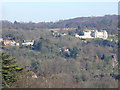 Leatherhead Downs