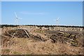 Boyndie Wind Farm