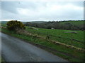 Stone outcrops near Roseney Farm