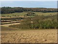 Meadow and woodland, West Wycombe