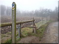 Path between Vicarage Lane and Brogdale Road