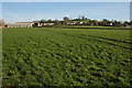 Farmland at Overton