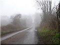 Vicarage Lane in the fog at the side of Queen Court Farm