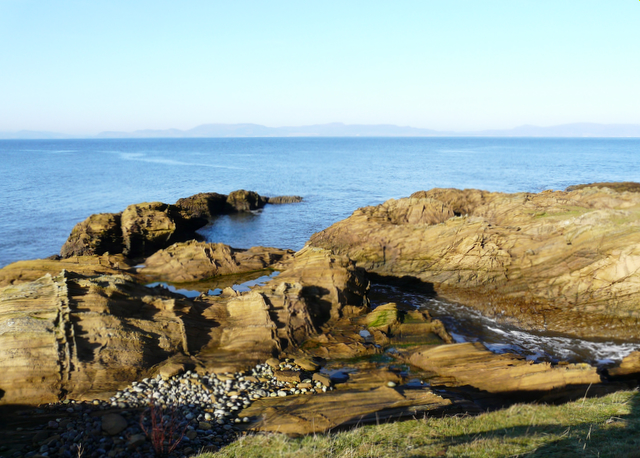 Shoreline looking across Dornoch Firth