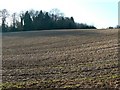SP1305 : Farmland and copse, near Coln St Aldwyns by Brian Robert Marshall