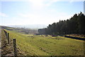 Clough Bottom Reservoir