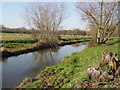 River Blackwater at Hawley Meadows
